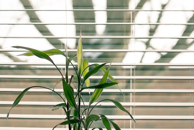 rejas para ventanas sin obra