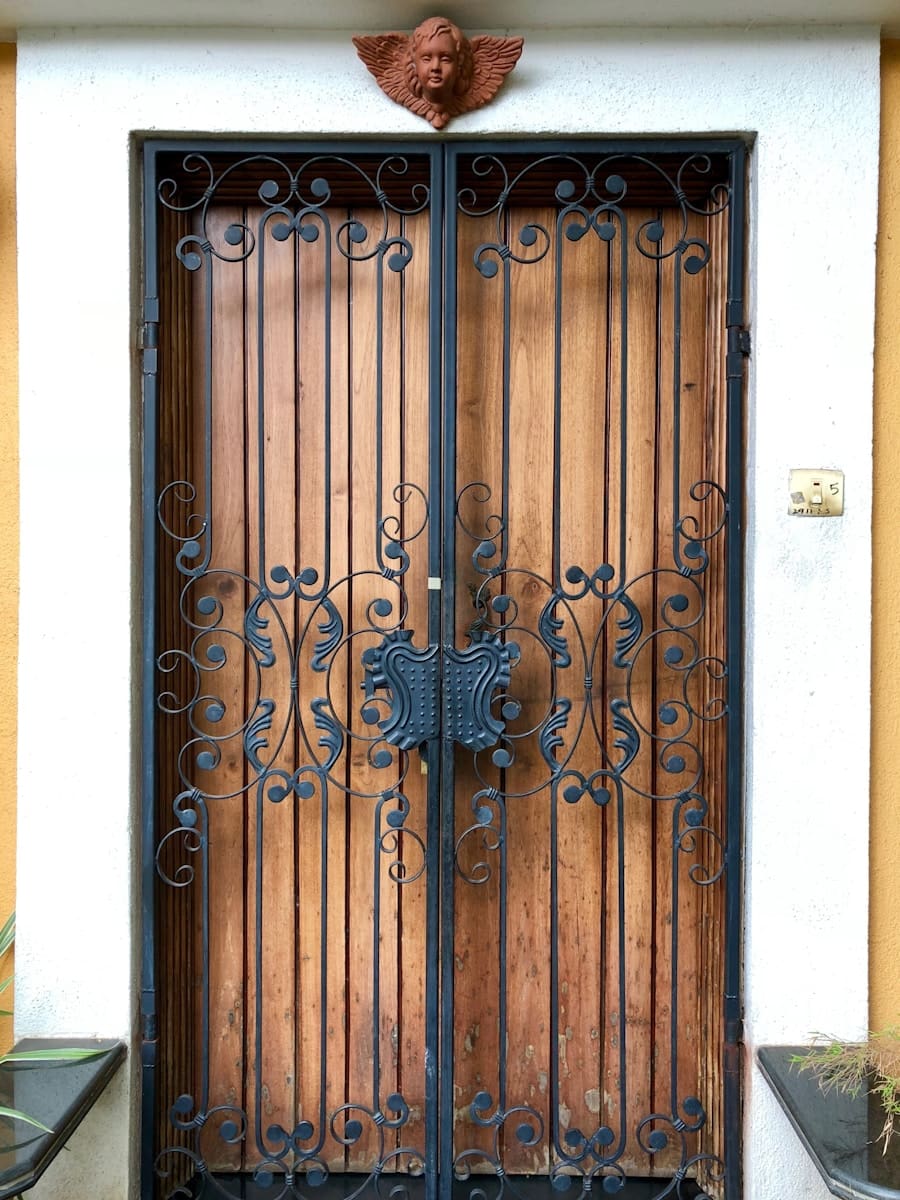 Photo reja metálica puerta